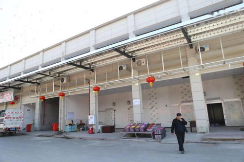 華南農產品批發市場春節銷售創佳績，金屬及金屬礦批發業務亮點頻現